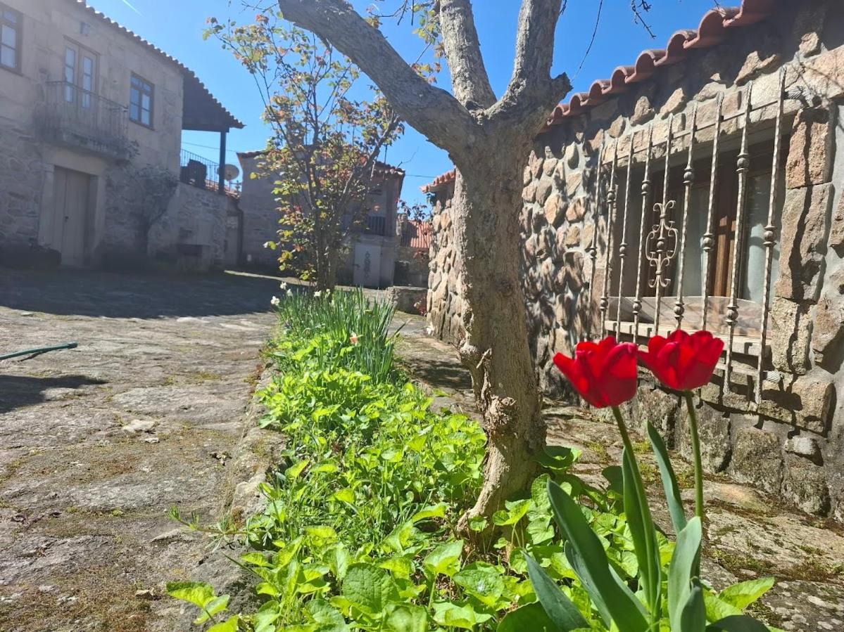 Casas Do Juizo - Country Houses Dış mekan fotoğraf