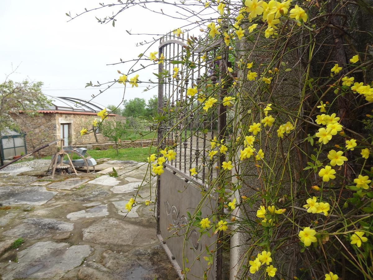 Casas Do Juizo - Country Houses Dış mekan fotoğraf